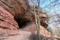 Pfälzerwald: Wanderweg an Felshöhle am Altschlossfelsen - Foto: Stefan Frerichs / RheinWanderer.de