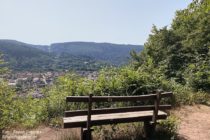 Neckar: Aussichtspunkt oberhalb von Burg Hirschhorn mit Blick auf Ersheim - Foto: Stefan Frerichs / RheinWanderer.de