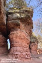 Pfälzerwald: Felssäule am Altschlossfelsen - Foto: Stefan Frerichs / RheinWanderer.de