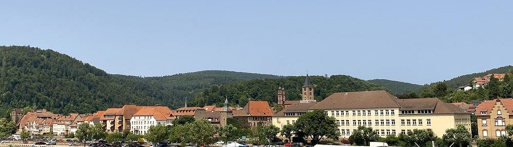 Neckar: Blick auf Eberbach - Foto: Stefan Frerichs / RheinWanderer.de