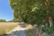 Taunus: Wanderweg hinter Waldgasthof Gundelhard bei Kelkheim - Foto: Stefan Frerichs / RheinWanderer.de