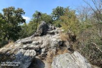 Taunus: Felskuppe des Rossert bei Eppenhain - Foto: Stefan Frerichs / RheinWanderer.de