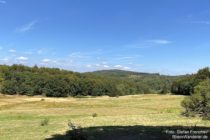 Taunus: Naturschutzgebiet Saubach und Niedgesbach bei Schmitten - Foto: Stefan Frerichs / RheinWanderer.de