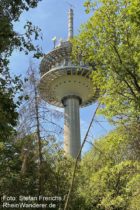 Taunus: Fernmeldeturm Atzelberg bei Eppenhain - Foto: Stefan Frerichs / RheinWanderer.de