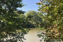 Taunus: Fischteich im Weiherbachtal bei Schloßborn - Foto: Stefan Frerichs / RheinWanderer.de