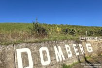 Nahe: Schriftzug an der Weinlage Domberg bei Bad Sobernheim - Foto: Stefan Frerichs / RheinWanderer.de