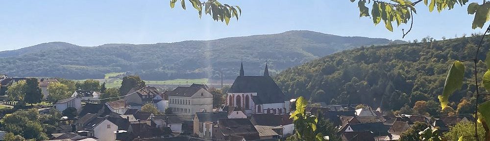 Nahe: Blick von Norden auf Monzingen im Naheland - Foto: Stefan Frerichs / RheinWanderer.de