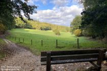 Niederrhein: Bank im Naturschutzgebiet Heerlijkheid Beek - Foto: Stefan Frerichs / RheinWanderer.de