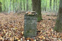 Niederrhein: Gipfelstein des Beginenbergs bei Frasselt - Foto: Stefan Frerichs / RheinWanderer.de