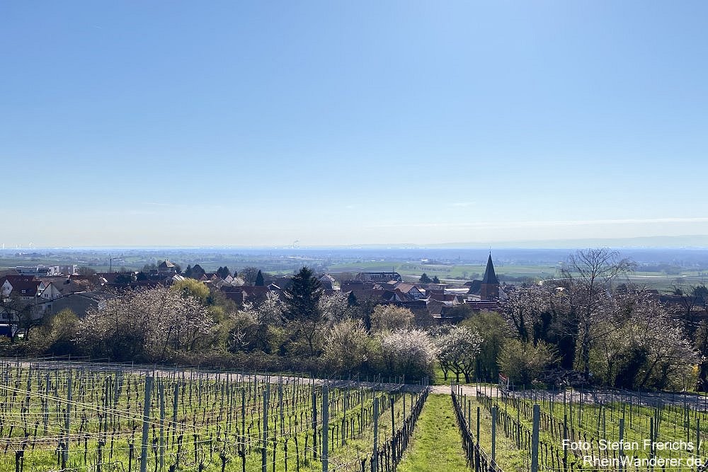 Pfälzerwald: Blick auf Schweigen-Rechtenbach - Foto: Stefan Frerichs / RheinWanderer.de