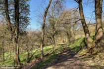 Pfälzerwald: Wanderweg vor Sankt Germanshof - Foto: Stefan Frerichs / RheinWanderer.de