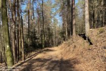 Pfälzerwald: Wanderweg bei Bobenthal - Foto: Stefan Frerichs / RheinWanderer.de