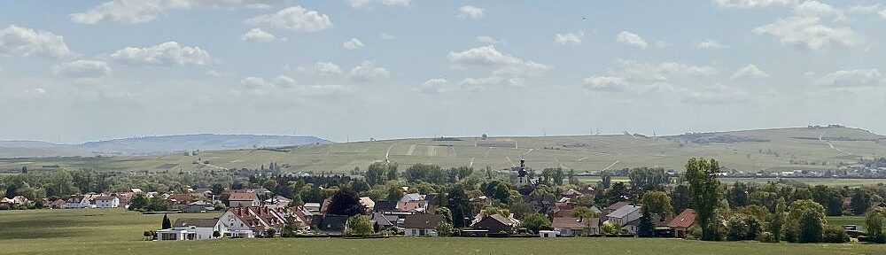 Nahe: Blick auf Bretzenheim an der Nahe - Foto: Stefan Frerichs / RheinWanderer.de