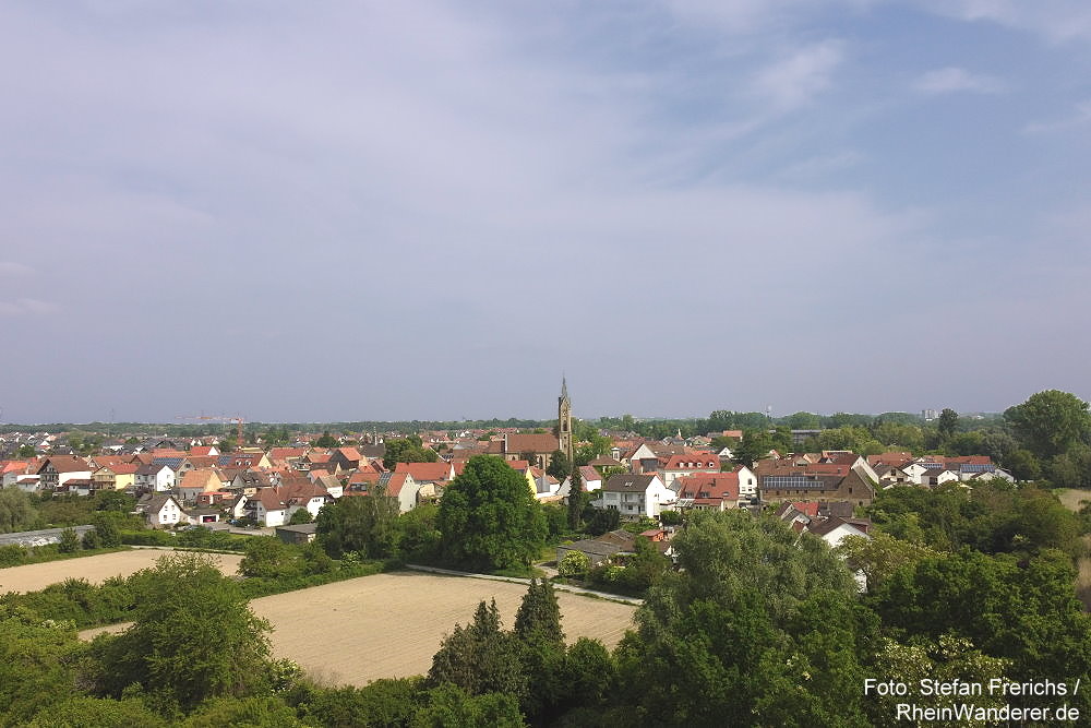 Oberrhein: Blick auf Sondernheim bei Germersheim - Foto: Stefan Frerichs / RheinWanderer.de