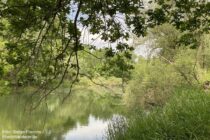 Oberrhein: Blick vom Alten Treidlerweg in die Rheinaue südlich von Sondernheim - Foto: Stefan Frerichs / RheinWanderer.de