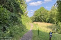 Mittelrhein: Rheinsteig vor dem Mallendarer Bachtal - Foto: Stefan Frerichs / RheinWanderer.de