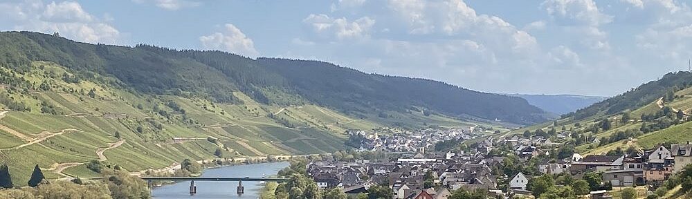 Mosel: Blick auf Reil - Foto: Stefan Frerichs / RheinWanderer.de