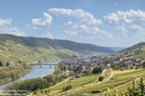 Mosel: Blick auf Reil - Foto: Stefan Frerichs / RheinWanderer.de