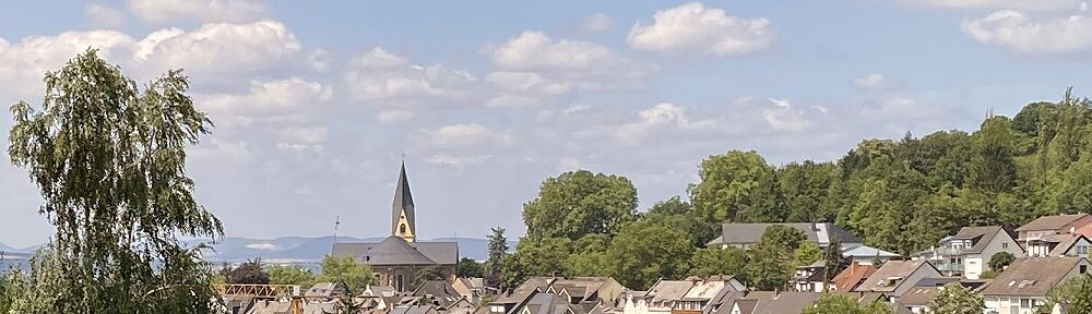 Mittelrhein: Blick auf Vallendar - Foto: Stefan Frerichs / RheinWanderer.de