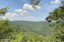 Mittelrhein: Hubertusschluchtblick - Foto: Stefan Frerichs / RheinWanderer.de