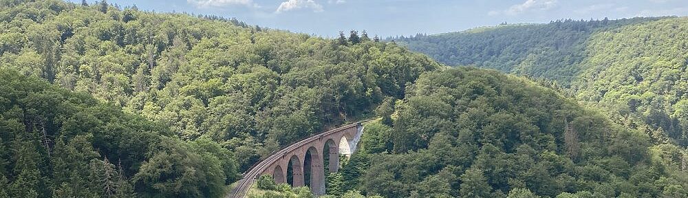 Mittelrhein: Hubertus-Viadukt-Blick - Foto: Stefan Frerichs / RheinWanderer.de