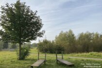 Deltarhein: Westerpark in Nijmegen - Foto: Stefan Frerichs / RheinWanderer.de