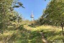 Nahe: Wanderweg am Fernmeldeturm auf dem Schanzenkopf - Foto: Stefan Frerichs / RheinWanderer.de