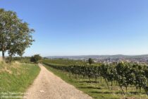 Nahe: Wanderweg vor Bad Kreuznach - Foto: Stefan Frerichs / RheinWanderer.de