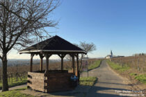 Main: Raberhütte bei Hochheim - Foto: Stefan Frerichs / RheinWanderer.de