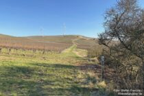 Oberrhein: Wanderweg mit Blick auf die Selzstellung - Foto: Stefan Frerichs / RheinWanderer.de