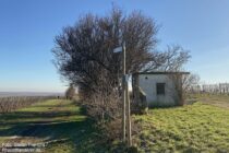 Oberrhein: Wanderweg am Wingertshäuschen auf dem Winkel bei Zornheim - Foto: Stefan Frerichs / RheinWanderer.de