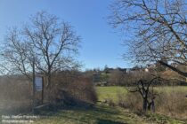 Oberrhein: Wanderweg auf dem Hasenberg bei Zornheim - Foto: Stefan Frerichs / RheinWanderer.de