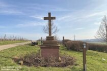 Inselrhein: Vituskreuz bei Oberwalluf im Rheingau - Foto: Stefan Frerichs / RheinWanderer.de