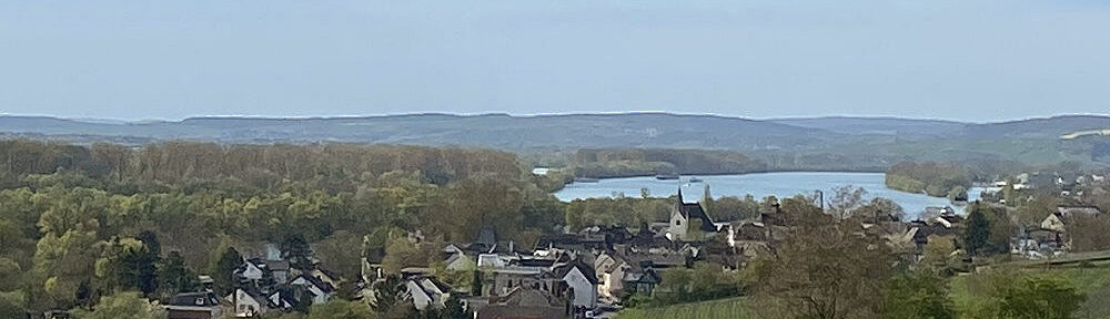 Inselrhein: Blick auf Eltville-Hattenheim im Rheingau - Foto: Stefan Frerichs / RheinWanderer.de