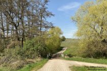 Inselrhein: Wanderweg im Kisselbachtal im Rheingau - Foto: Stefan Frerichs / RheinWanderer.de