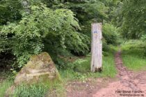 Pfälzerwald: Ritterstein "Alte Strasse Falkenburger Steige" - Foto: Stefan Frerichs / RheinWanderer.de