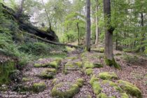 Pfälzerwald: Spurrillen der Altstraße an der Falkenburger Steige - Foto: Stefan Frerichs / RheinWanderer.de