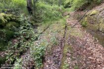 Pfälzerwald: Spurrillen der Altstraße an der Falkenburger Steige - Foto: Stefan Frerichs / RheinWanderer.de