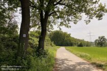 Main: Wanderweg vor dem Heißackerhof - Foto: Stefan Frerichs / RheinWanderer.de
