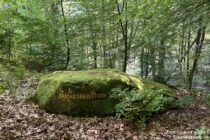 Pfälzerwald: Ritterstein Dreiherrenstein - Foto: Stefan Frerichs / RheinWanderer.de