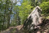 Pfälzerwald: Felsen am Wanderweg oberhalb des Wartenbachtals - Foto: Stefan Frerichs / RheinWanderer.de