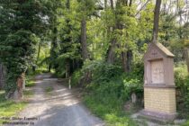 Main: Zuweg zum Weinberg bei Mainaschaff - Foto: Stefan Frerichs / RheinWanderer.de