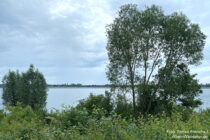 Niederrhein: Blick auf den Diersfordter Waldsee - Foto: Stefan Frerichs / RheinWanderer.de