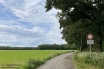 Niederrhein: Wanderweg bei Langer Renne - Foto: Stefan Frerichs / RheinWanderer.de