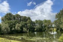 Niederrhein: Reckenburger Woy bei Praest - Foto: Stefan Frerichs / RheinWanderer.de