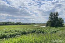 Niederrhein: Blick in die Dornicksche Ward bei Emmerich - Foto: Stefan Frerichs / RheinWanderer.de
