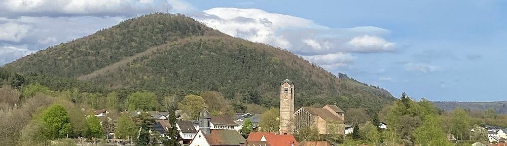 Pfälzerwald: Blick auf Merzaben - Foto: Stefan Frerichs / RheinWanderer.de