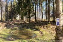 Spessart: Tümpel auf dem Kreuzberg bei Waldaschaff - Foto: Stefan Frerichs / RheinWanderer.de