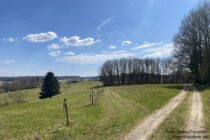 Spessart: Spessartweg am Tiergartenberg bei Rothenbuch - Foto: Stefan Frerichs / RheinWanderer.de