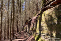 Pfälzerwald: Wanderweg am Hinteren Rappenkopffelsen - Foto: Stefan Frerichs / RheinWanderer.de